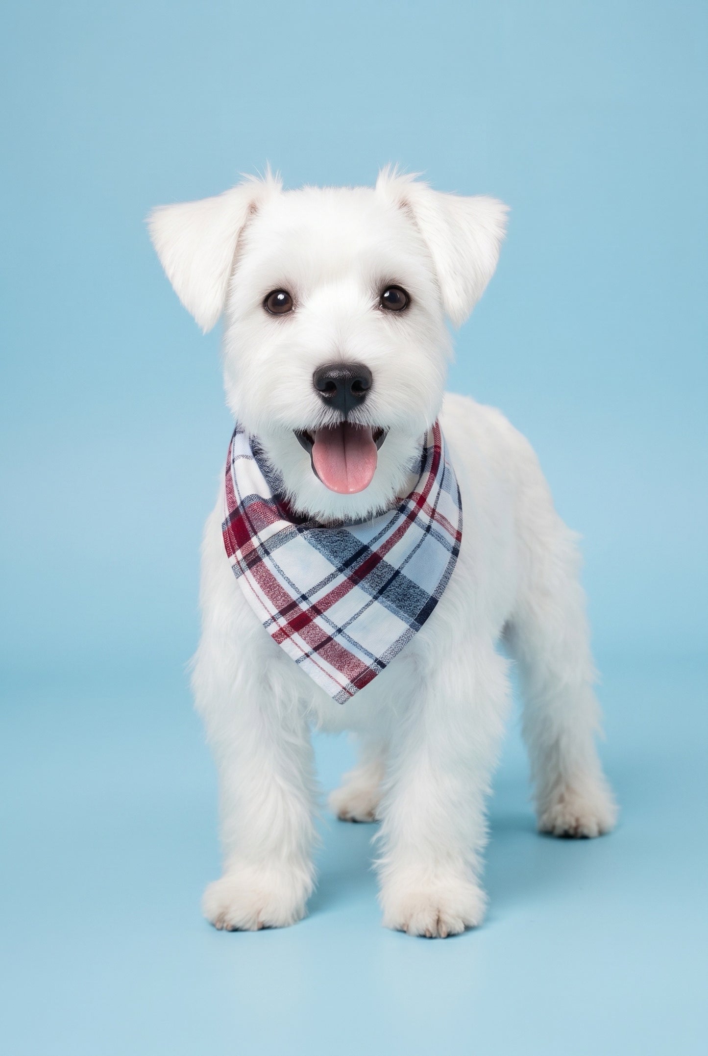 STRIPE BLUE - SLIP ON BANDANA