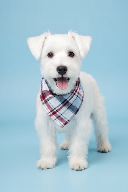 STRIPE BLUE - SLIP ON BANDANA