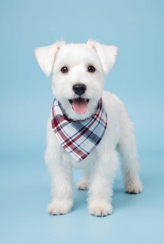 STRIPE BLUE - SLIP ON BANDANA
