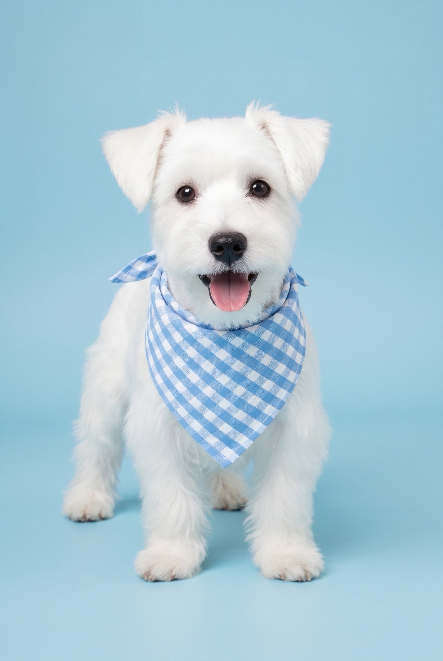 EKO - SLIP ON BANDANA