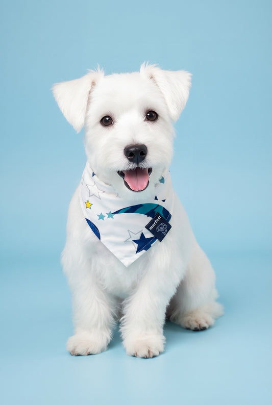 Hailey - SLIP ON BANDANA