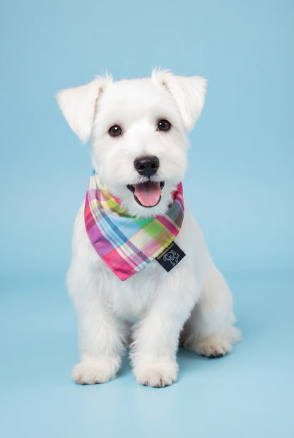 Pinky - SLIP ON BANDANA