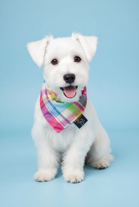 Pinky - SLIP ON BANDANA