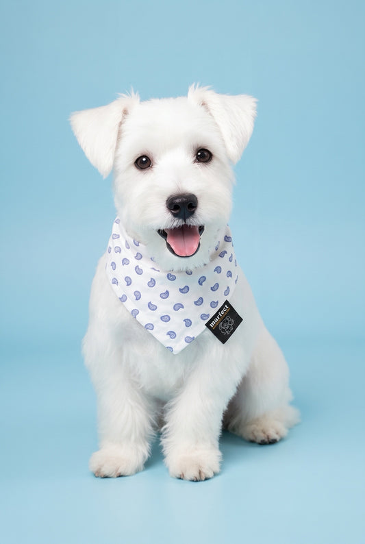 ORN  - SLIP ON BANDANA