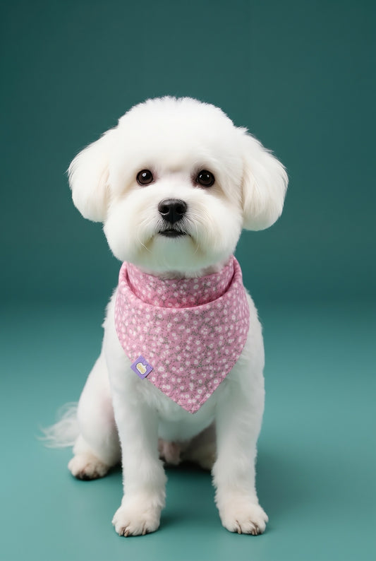 MAX - SLIP ON BANDANA - SMALL